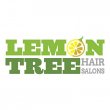 lemon-tree-hair-salon-katy