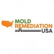 mold-remediation-usa