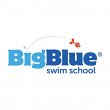 big-blue-swim-school