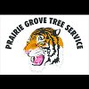 prairie-grove-tree-service