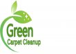 green-carpet-cleanup
