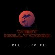 west-hollywood-tree-service