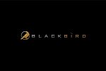blackbird-finance