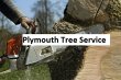 plymouth-tree-service
