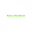 bronx-tree-pro---tree-removal-cutting-trimming-service