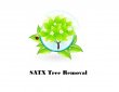 tree-removal-san-antonio---satx-tree-removal