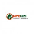 nyc-tree-trimming-removal-corp