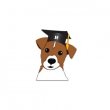 ruffgers-dog-university---naples-dog-training-boarding