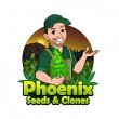 phoenix-seeds-clones