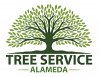 tree-service-alameda