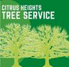 citrus-heights-tree-service