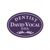 david-vocal-dds