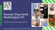 the-dancan-dog-hotel-day-spa