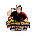 stu-s-squeaky-clean-window-cleaning