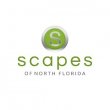 scapes-of-north-florida