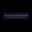 manhattan-tree-service---tree-stump-removal-company