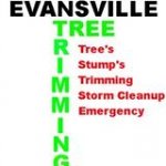 tree-trimming-evansville