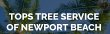 tops-tree-service-of-newport-beach