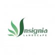 insignia-landscape