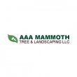 aaa-mammoth-tree-landscaping-llc