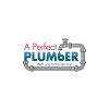 a-perfect-plumber