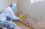 mold-experts-of-los-angeles