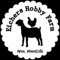 eichers-hobby-farm