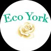 eco-york-llc
