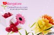 send-the-best-valentine-s-day-gifts-to-bangalore-at-low-cost--free-same-day-delivery