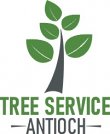 tree-service-antioch