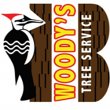 b-woody-s-tree-service