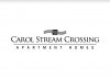 carol-stream-crossing