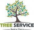 tree-service-santa-clara