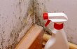 mold-experts-of-akron