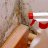 mold-experts-of-milwaukee