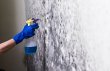 mold-experts-of-baltimore