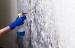 mold-experts-of-portland