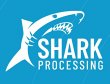 shark-processing