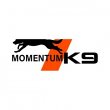 momentum-k9-dog-training