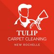 tulip-carpet-cleaning-port-washington