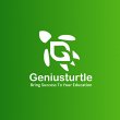 genius-turtle-llc