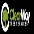 clearway-tree-services-phoenix