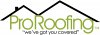 pro-roofing-nw---seattle