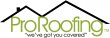 pro-roofing-nw---seattle