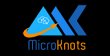 microknots-it-solutions-and-consulting