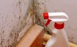 mold-experts-of-omaha