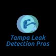 tampa-leak-detection-pros