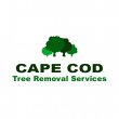 cape-cod-tree-removal-services