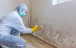 mold-experts-of-the-bronx