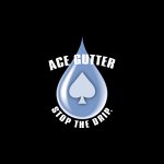 ace-gutter-inc